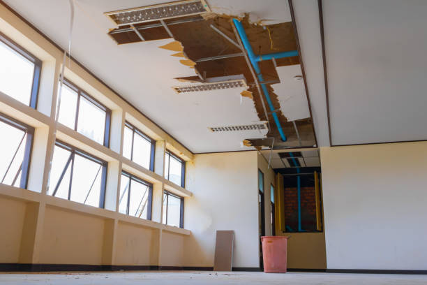 Best Commercial water damage restoration  in Brunswick, NC