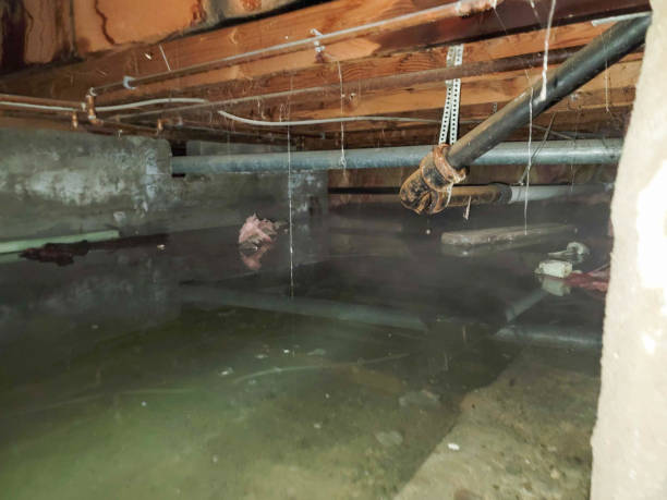 Best Ceiling water damage repair  in Brunswick, NC
