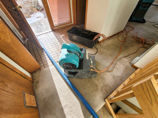 Best Flooded house restoration  in Brunswick, NC