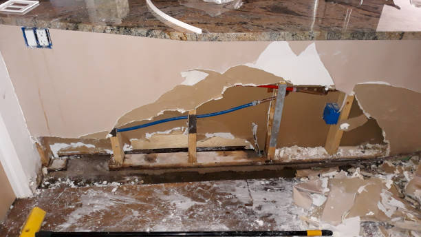 Best Basement water damage restoration  in Brunswick, NC