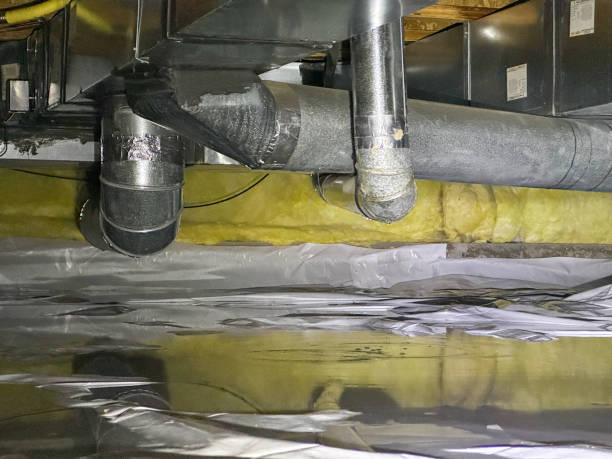 Best Flood damage cleanup  in Brunswick, NC