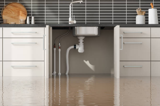 Best Professional water damage repair  in Brunswick, NC